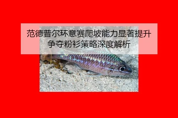 fan-de-pu-er-huan-yi-sai-pa-po-neng-li-xian-zhu-ti-sheng-zheng-duo-fen-shan-ce-lve-shen-du-jie-xi-3-671.jpg