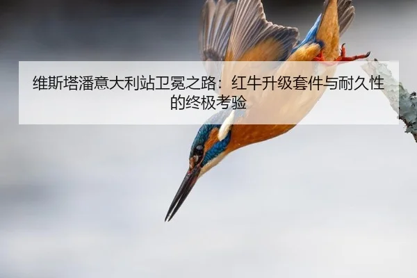 维斯塔潘意大利站卫冕之路：红牛升级套件与耐久性的终极考验