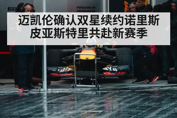 Formula 1 racing team