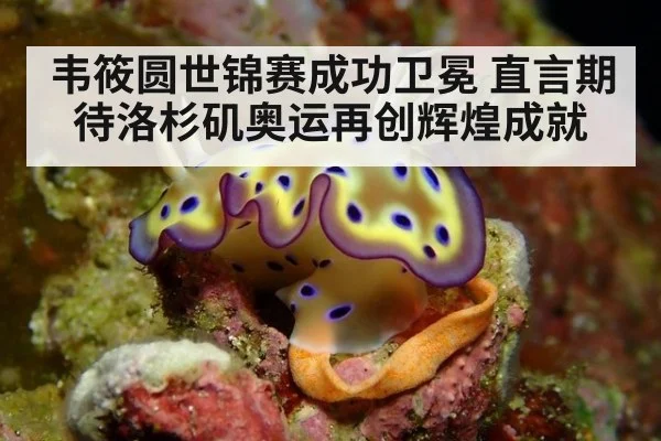 韦筱圆世锦赛成功卫冕 直言期待洛杉矶奥运再创辉煌成就